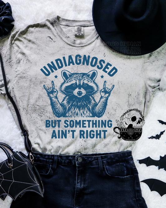 Undiagnosed But Something Ain't Right
