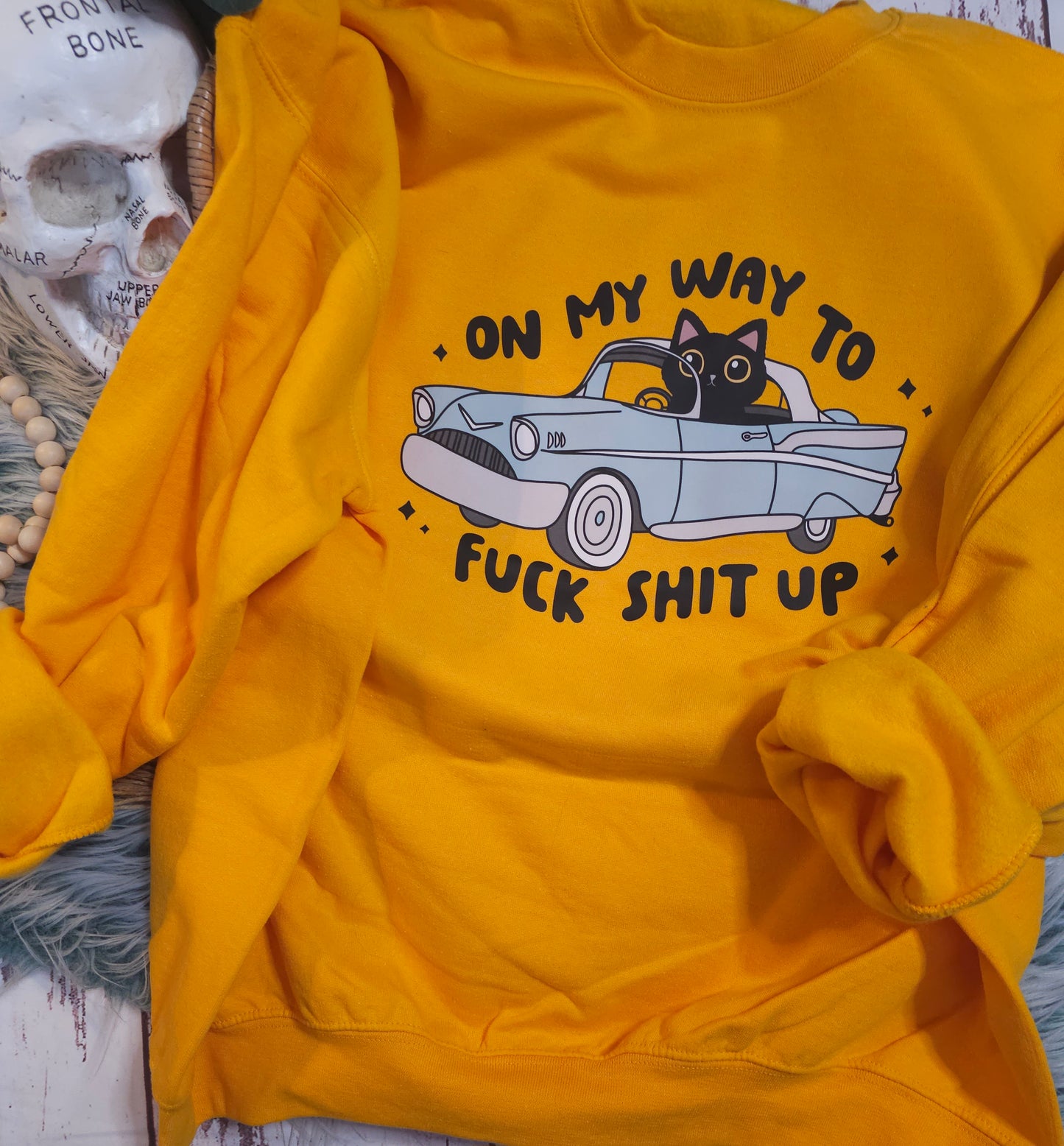 On my way to F*ck sh*t up black cat