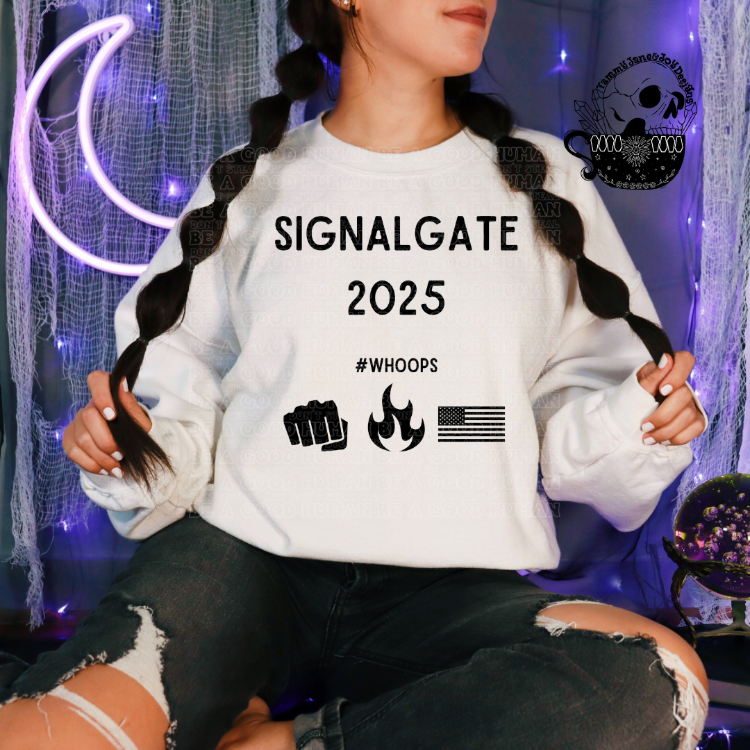 Forget Watergate Signal Gate 2025 in the house