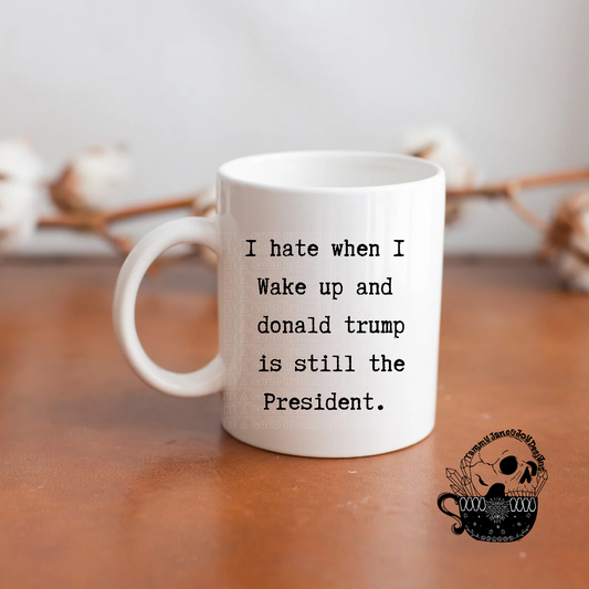 I Hate When I Wake Up and Donald Trump is Still President