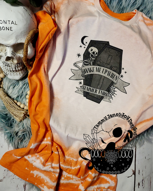 Wake Me Up When Summer Ends